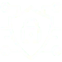 cyber-security